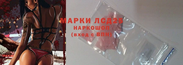 СК Пересвет
