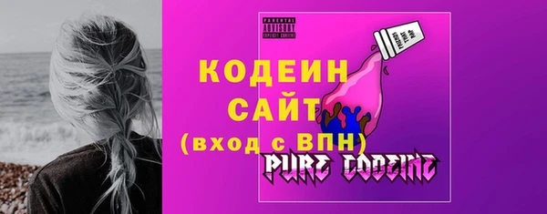 СК Пересвет