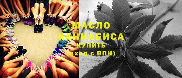 СК Пересвет