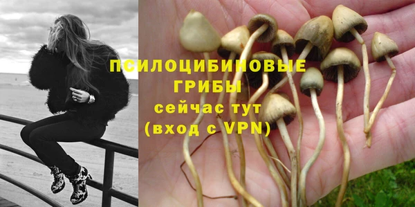 МДПВ Балахна