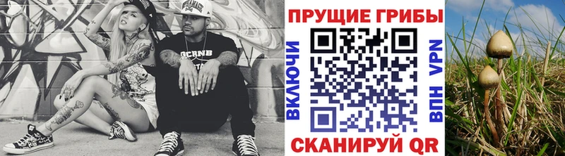 Галлюциногенные грибы ЛСД  купить закладку  Углич 